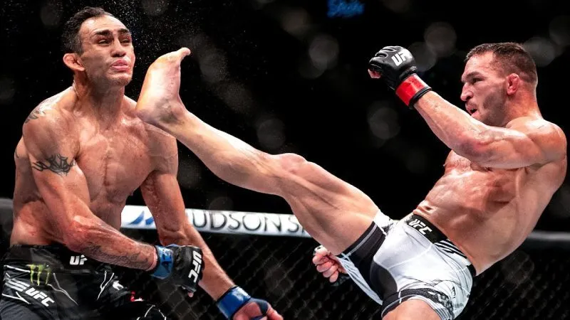 UFC Apostas Brasil
