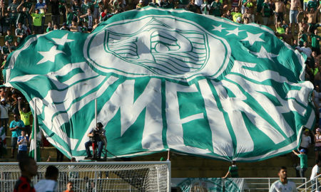 Bandeira do Palmeiras
