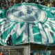 Bandeira do Palmeiras