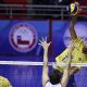 Vôlei Sul-Americano Brasil