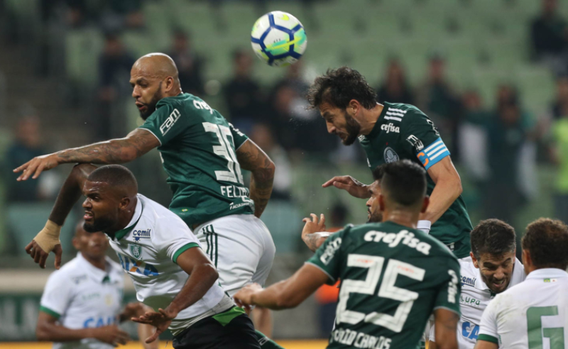 Palmeiras