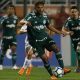 Prognóstico do jogo entre Fluminense e Palmeiras da 15ª rodada do Campeonato Brasileiro da Série A 2018.