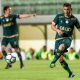 Prognóstico do jogo entre Palmeiras e América-MG pelas quartas de final da Copa do Brasil 2018
