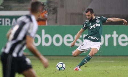 Edu Dracena do Palmeiras