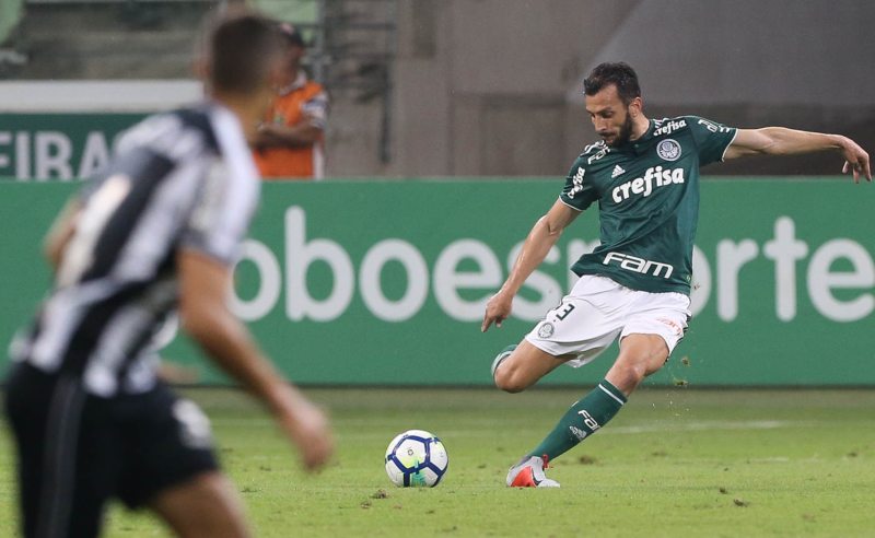 Edu Dracena do Palmeiras
