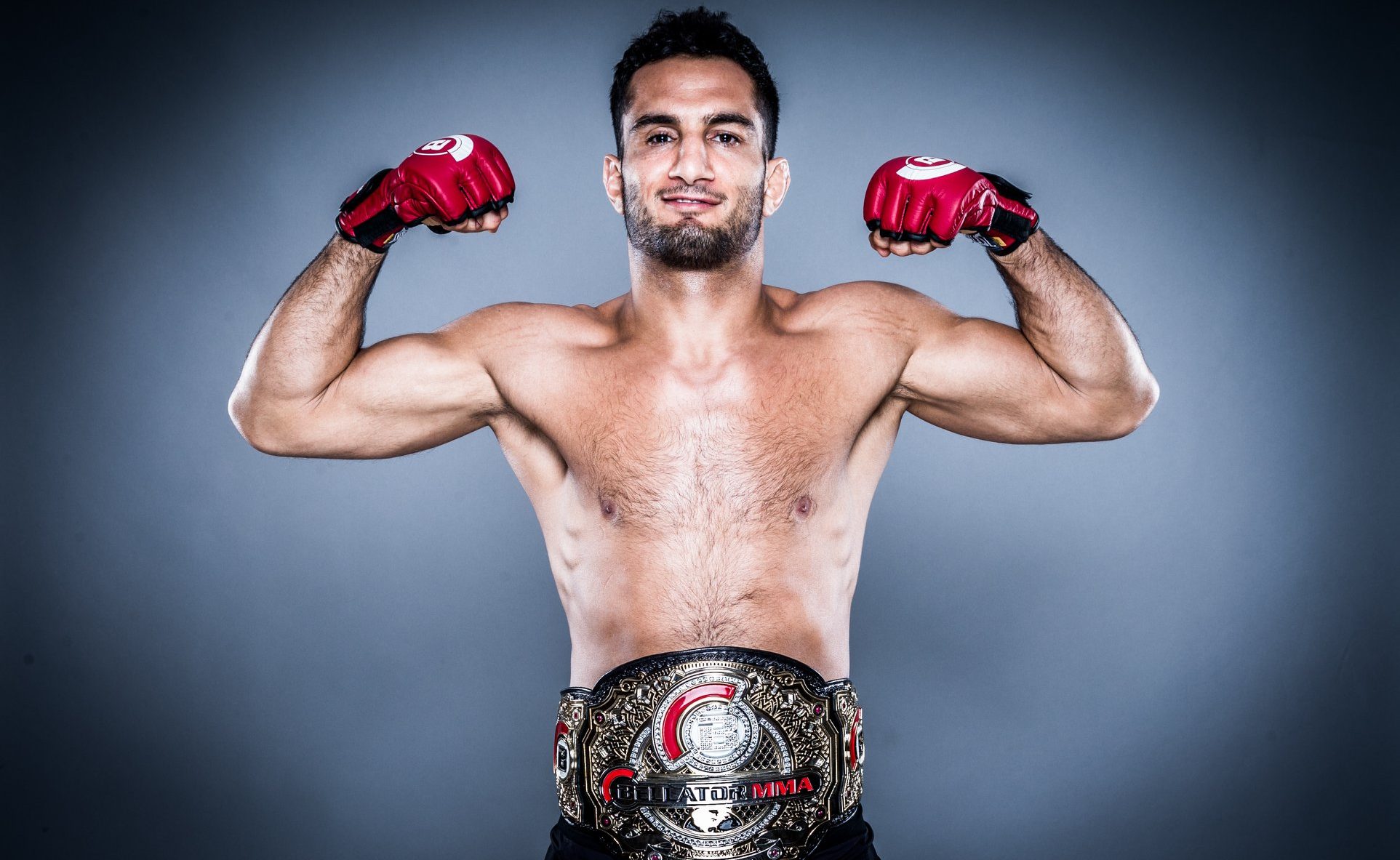 Gegard Mousasi - Bellator 206