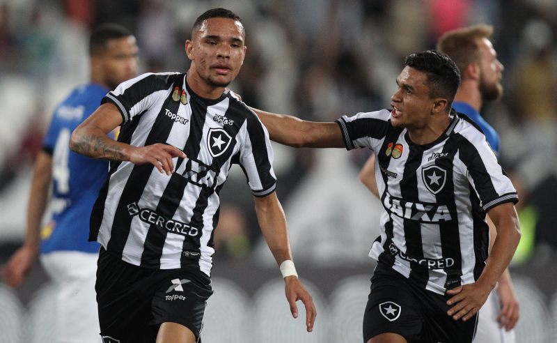 Luiz Fernando e colega do Botafogo
