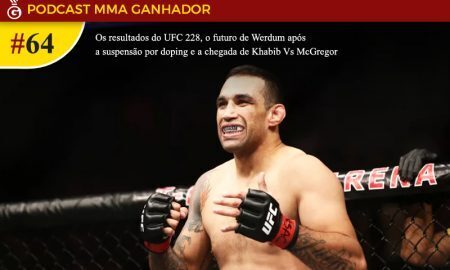 Fabricio Werdum - UFC