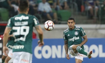 Dudu do Palmeiras