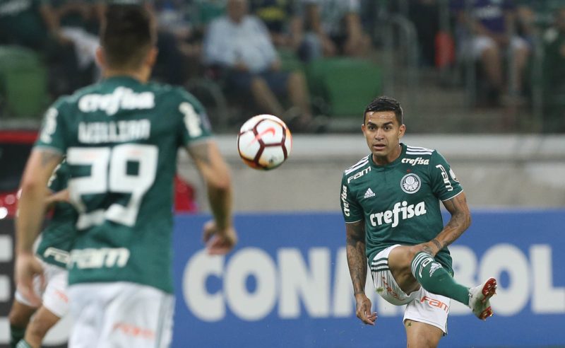 Dudu do Palmeiras