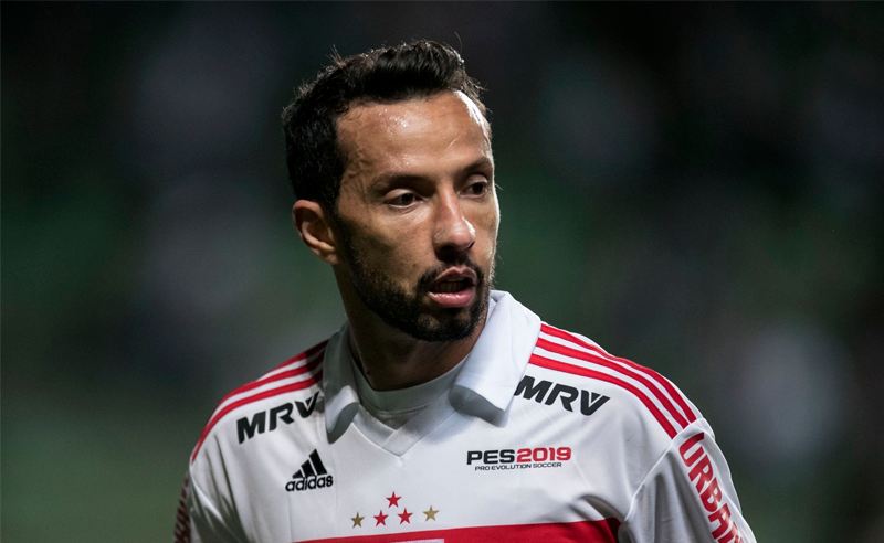 Maestro tricolor