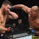 UFC 230: Ronaldo Jacaré VS Chris Weidman