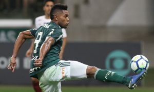 Borja do Palmeiras