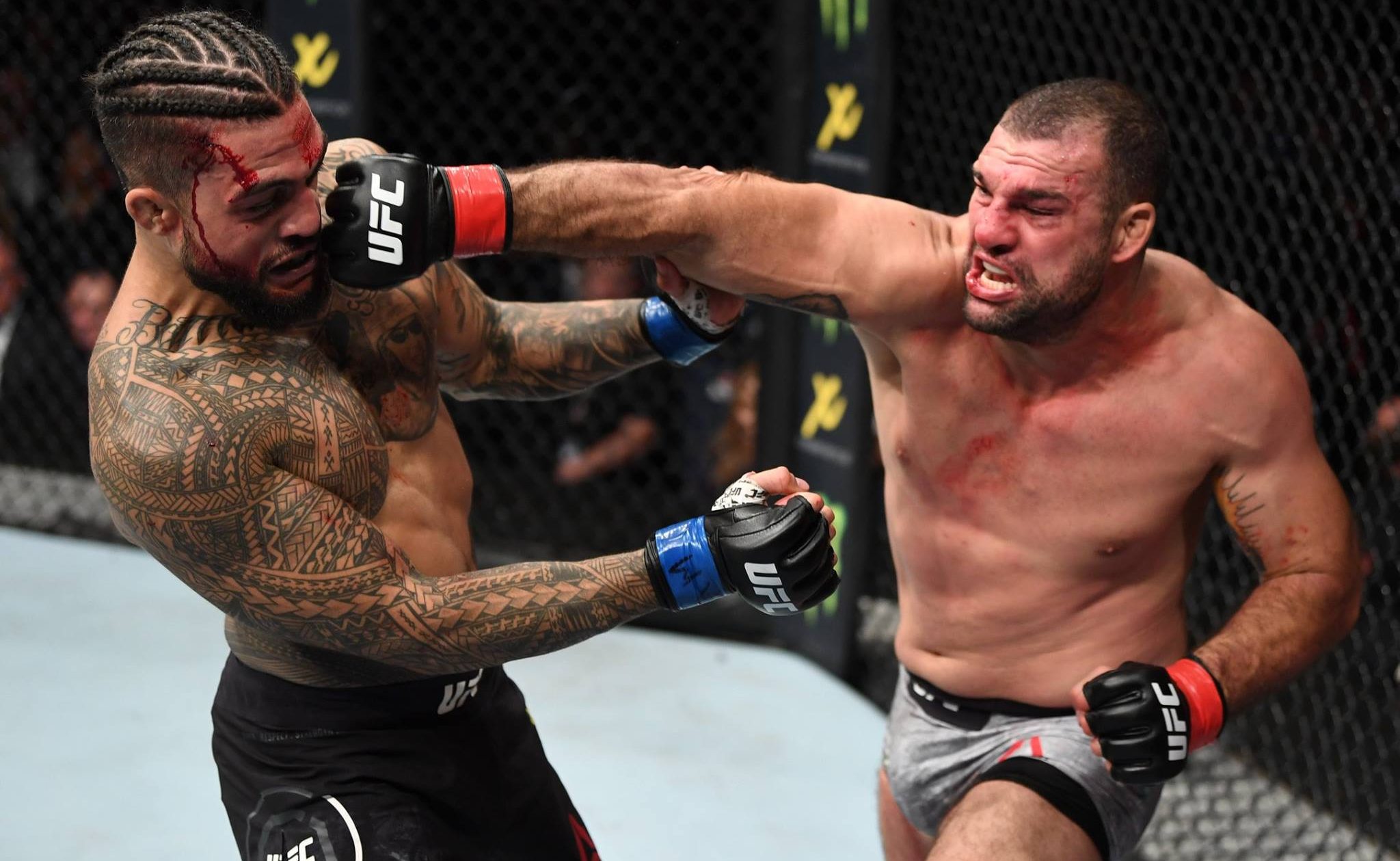 Mauricio Shogun nocauteia Tyson Pedro no UFC Austrália