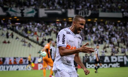 Galo na cabeça