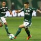 Raphael Veiga do Palmeiras