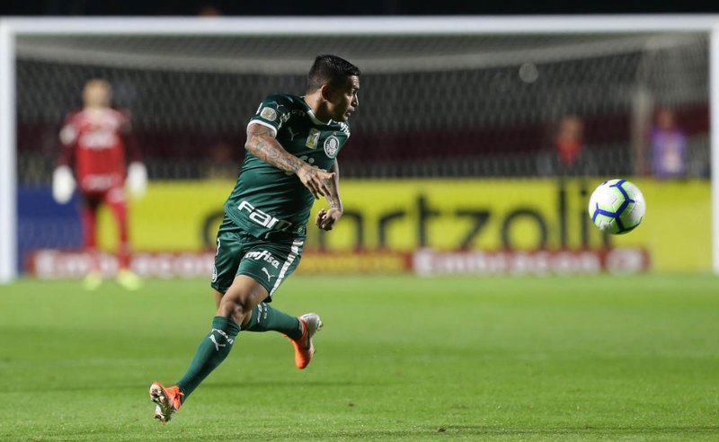 Dudu do Palmeiras