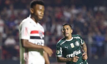 Dudu do Palmeiras