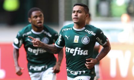 Dudu do Palmeiras