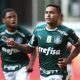 Dudu do Palmeiras