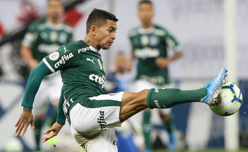 Dudu do Palmeiras