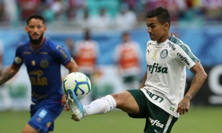 Dudu do Palmeiras