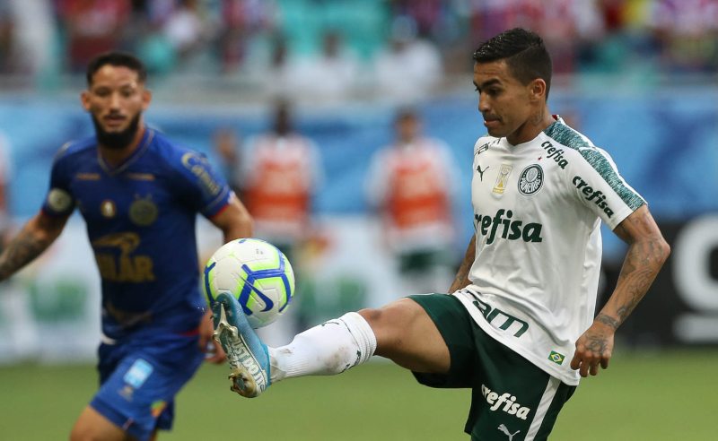 Dudu do Palmeiras