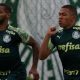 Treino Palmeiras