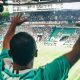 Torcedor Palmeiras