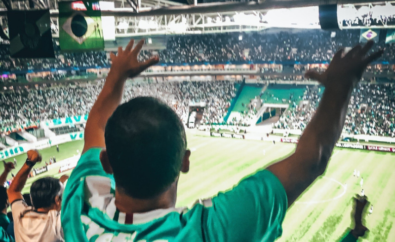 Torcedor Palmeiras