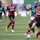 Felipe Melo do Palmeiras e Pedro do Flamengo