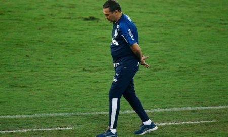 Vanderlei Luxemburgo do Palmeiras