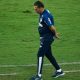 Vanderlei Luxemburgo do Palmeiras