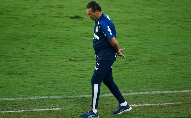 Vanderlei Luxemburgo do Palmeiras