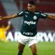 Rony do Palmeiras