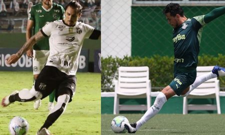 Vina do Ceará e Gustavo Gomez do Palmeiras