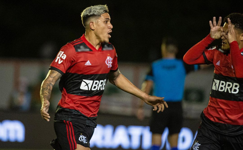 Pedro e João Gomes do Flamengo contra Portuguesa