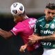 Palmeiras x Del Valle na Libertadores