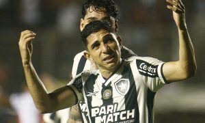 apostas botafogo palmeiras brasileirao