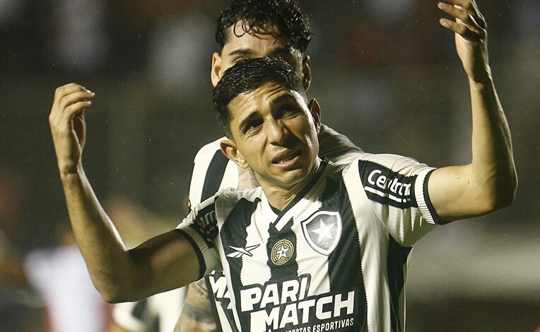 apostas botafogo palmeiras brasileirao